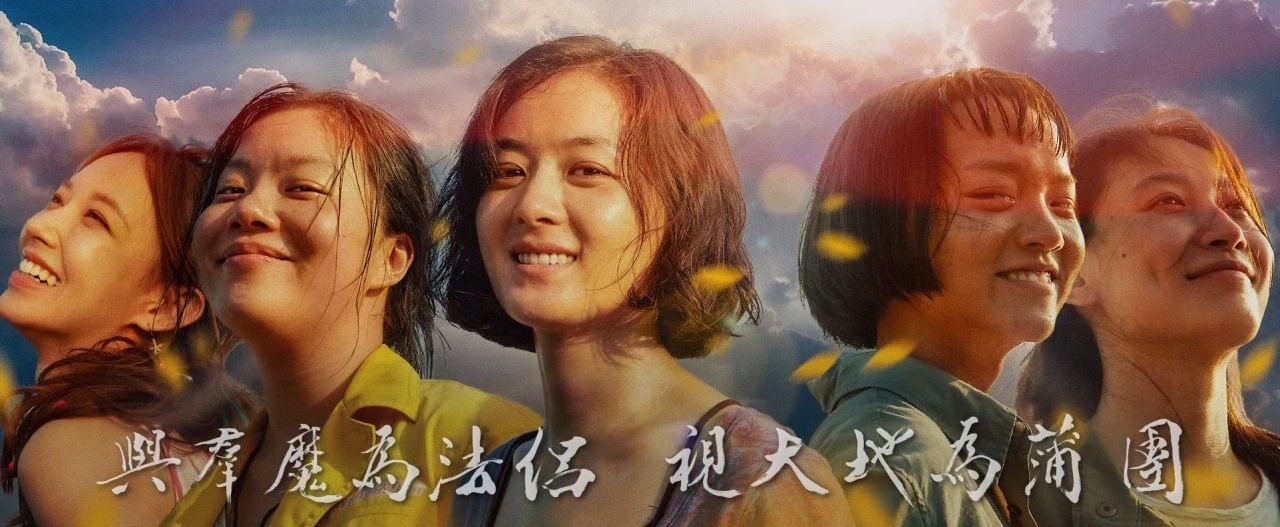 向陽而生，無畏綻放-觀《向陽花》有感