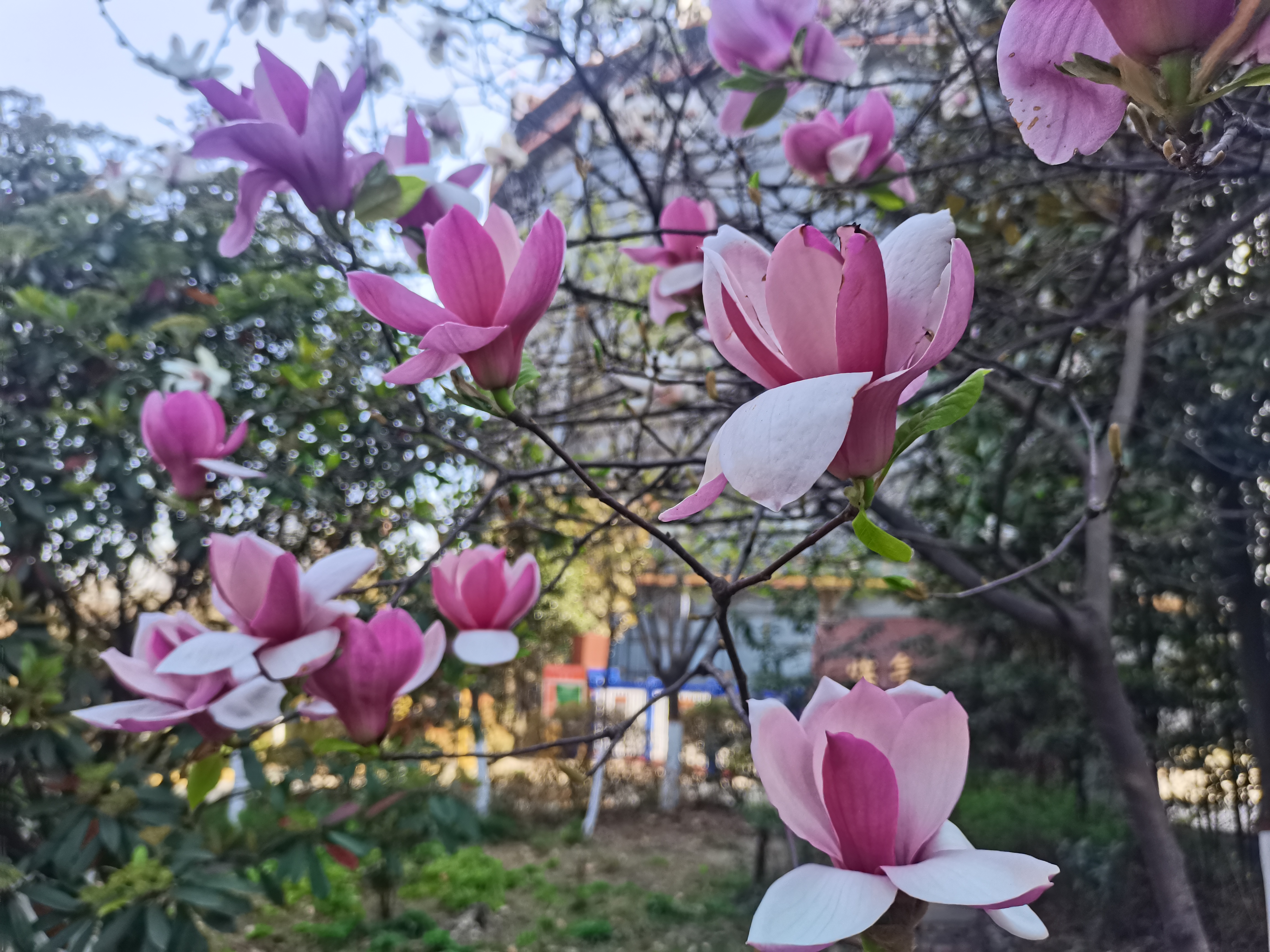 䓝h䓣Gɫ䓳ǵġͳɱֵ͑׃֮·