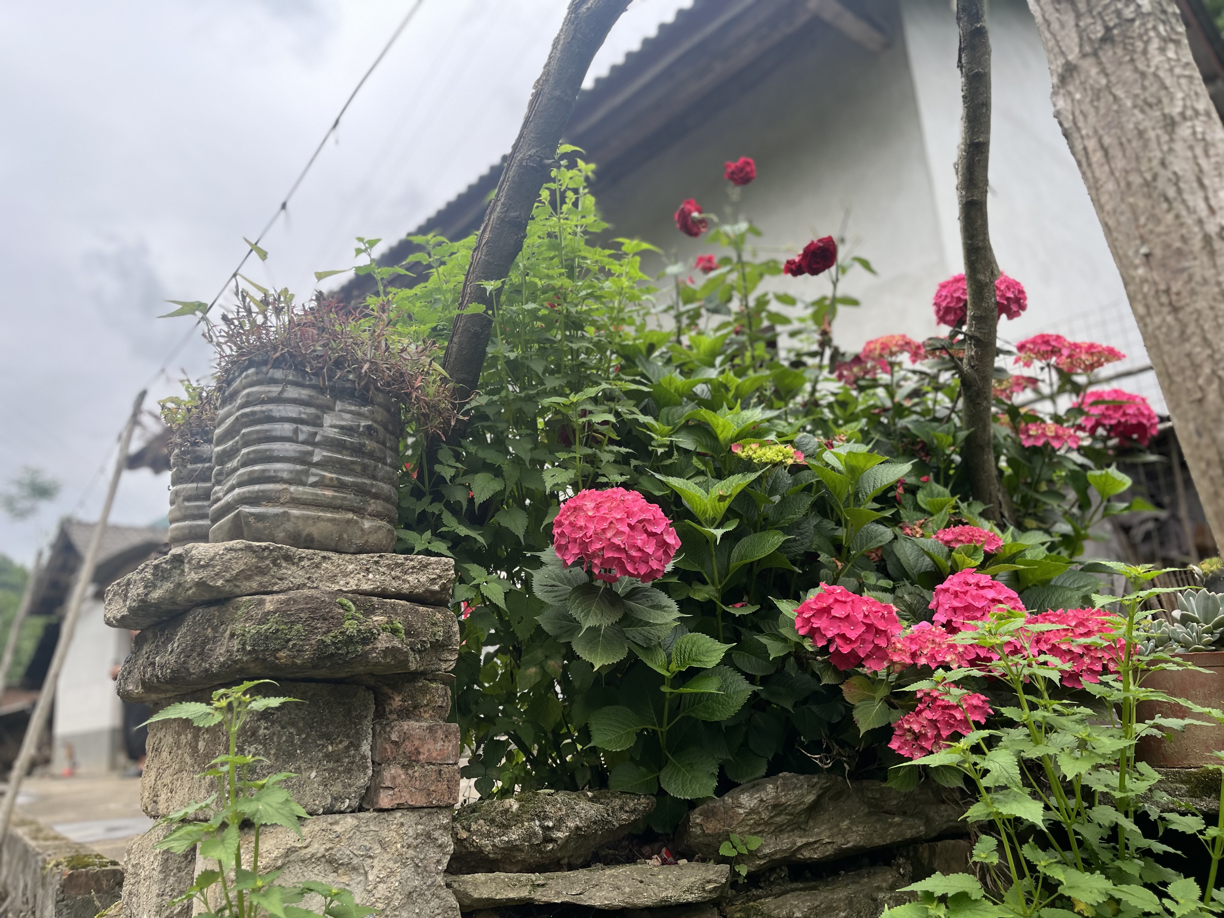 藏在城市邊緣的慢生活