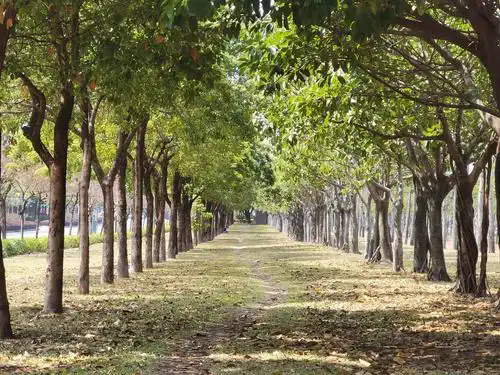 故鄉(xiāng)跑道上的年輪