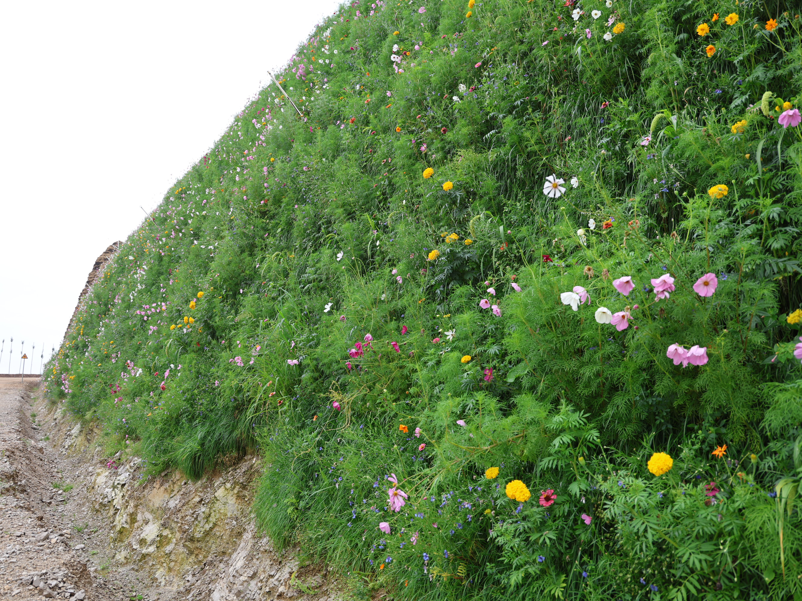 逐綠而生  向綠而行  開啟綠色礦山建設(shè)新篇章