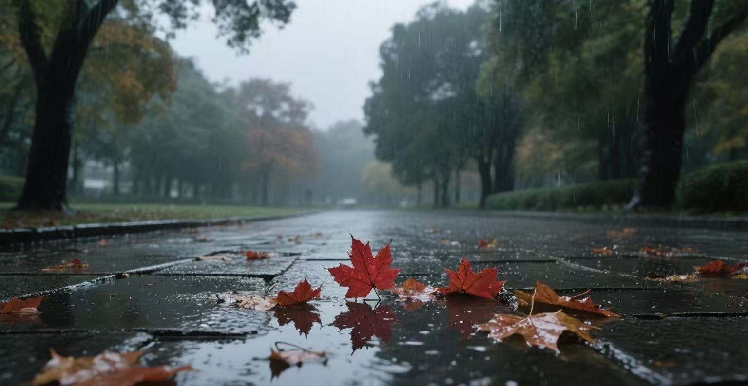 八月等雨等風(fēng)涼
