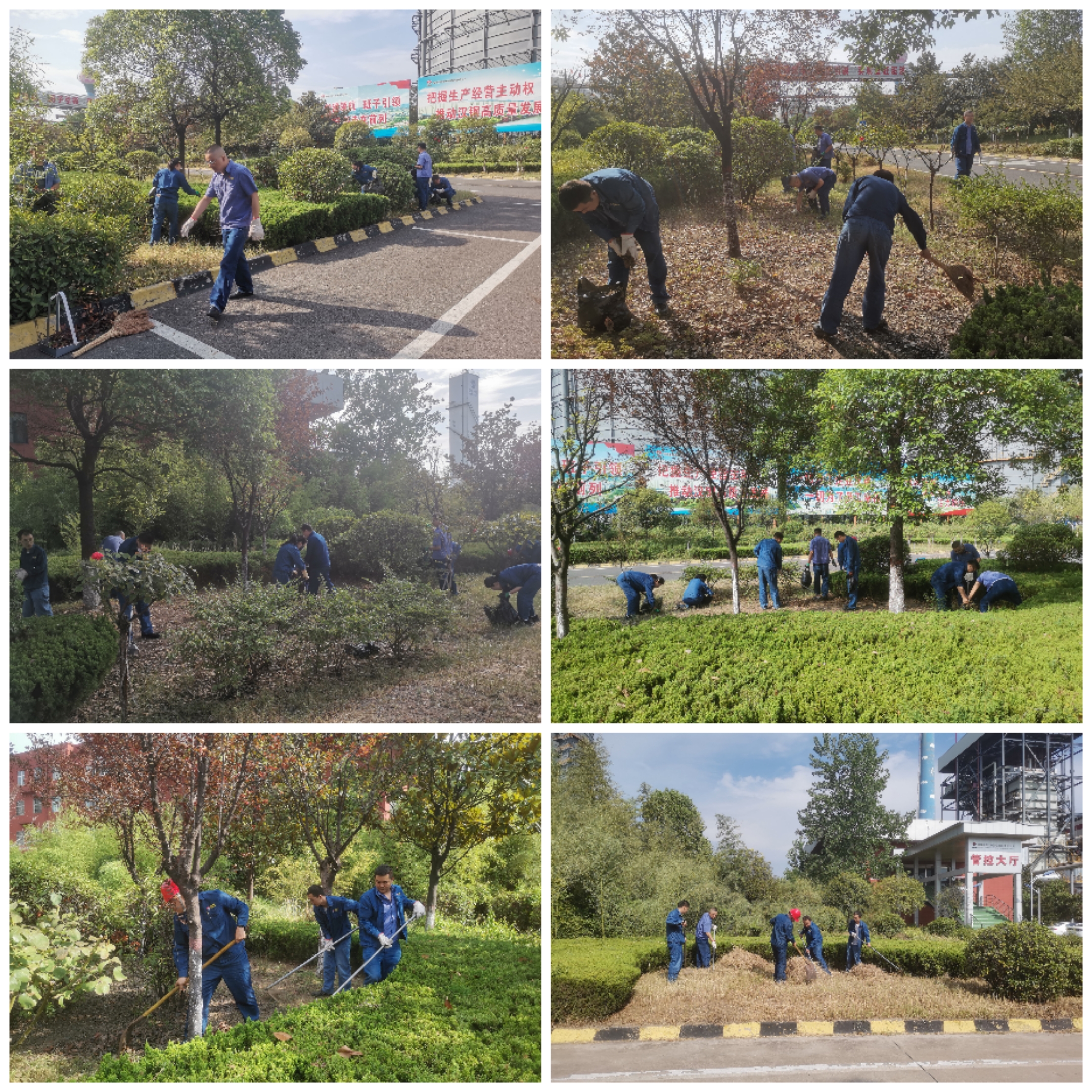 多措并舉忙護(hù)綠 齊抓共管促提升