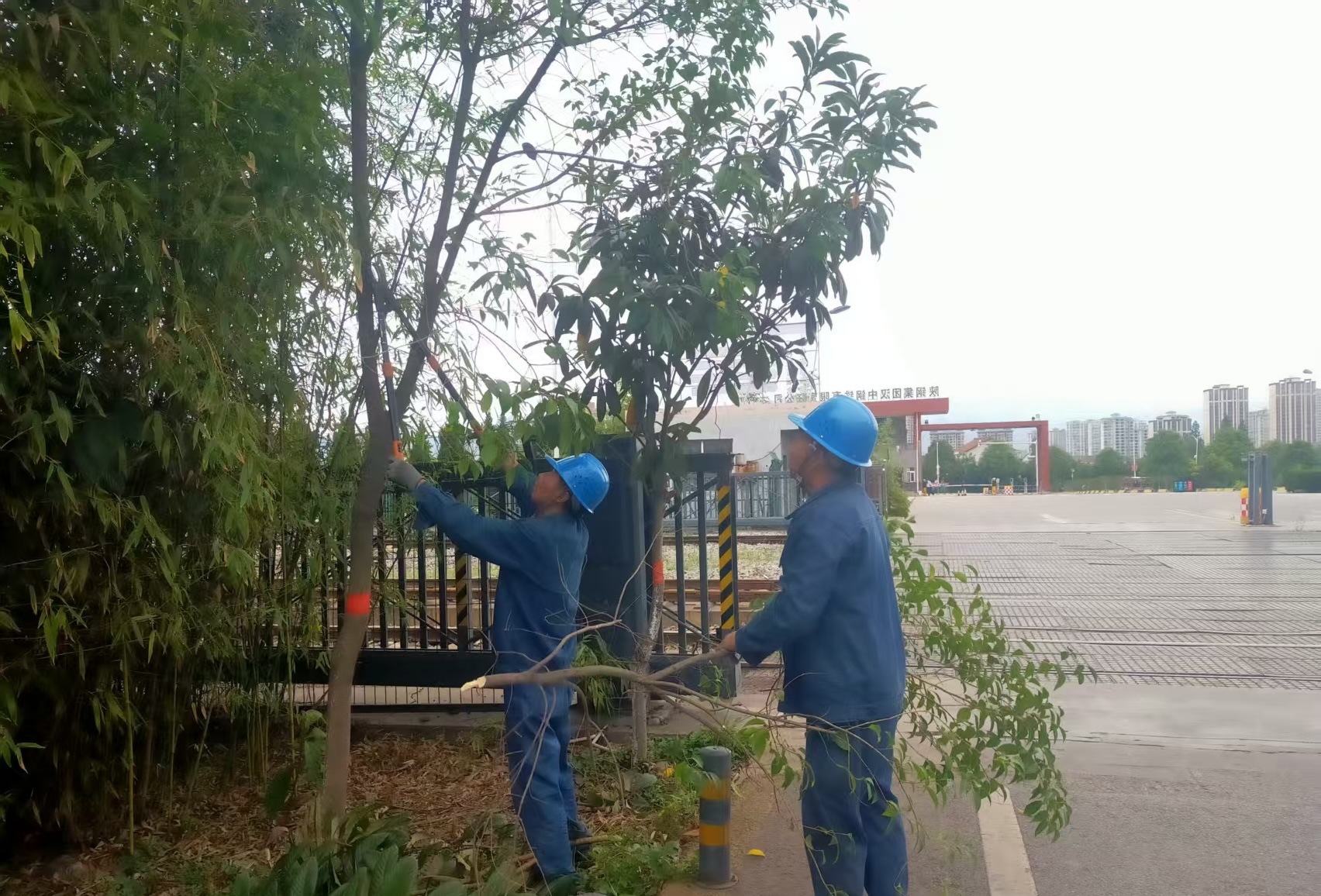 明責(zé)任強(qiáng)溝通  守護(hù)綠色鋼城