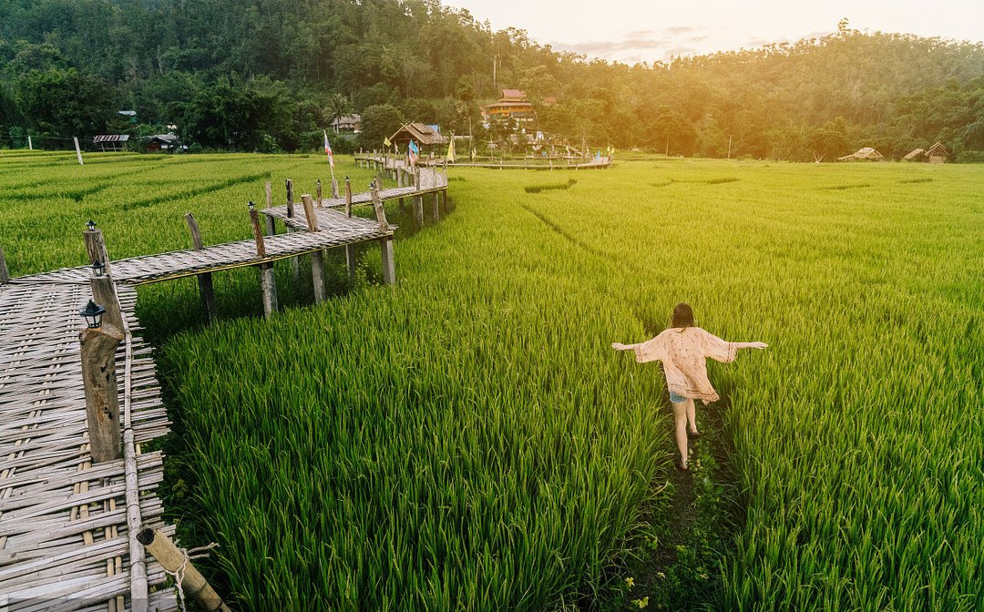 【鋼城文苑】回鄉(xiāng)見聞—新農(nóng)村的魅力