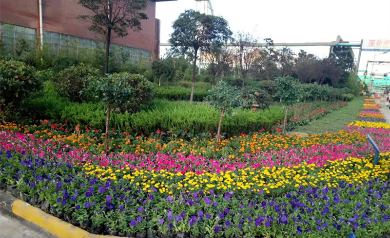 【美麗漢鋼】春暖花開(kāi)季  護(hù)綠增綠正當(dāng)時(shí) ——漢鋼公司打響春季綠化美化攻堅(jiān)戰(zhàn)