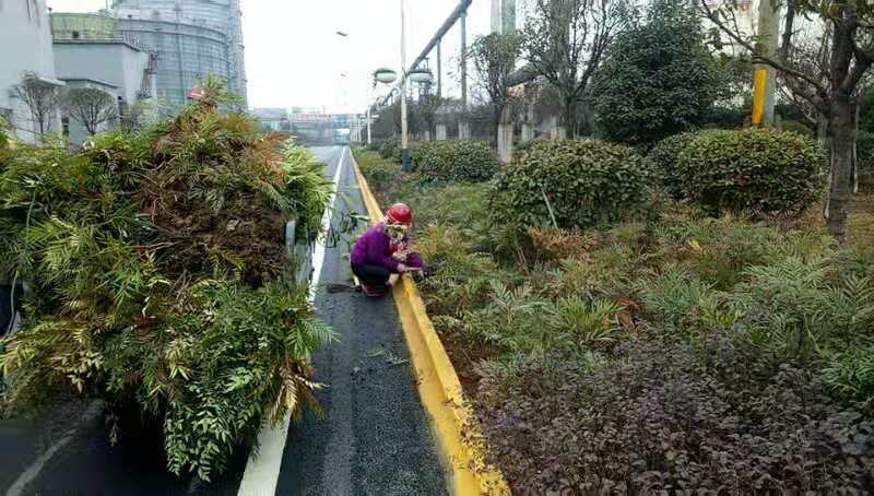 【美麗漢鋼】春暖花開(kāi)季  護(hù)綠增綠正當(dāng)時(shí) ——漢鋼公司打響春季綠化美化攻堅(jiān)戰(zhàn)