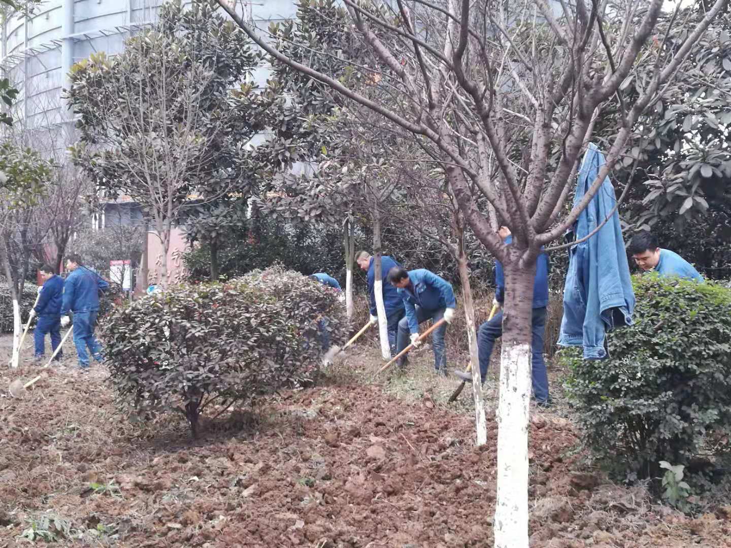 【美麗漢鋼】春暖花開(kāi)季  護(hù)綠增綠正當(dāng)時(shí) ——漢鋼公司打響春季綠化美化攻堅(jiān)戰(zhàn)