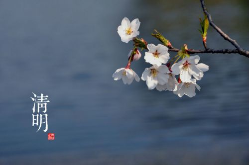 【鋼城文苑】菩薩蠻.清明祭祖