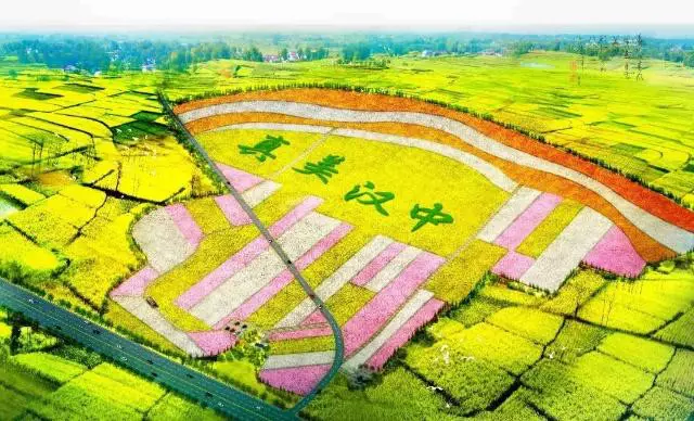 【鋼城文苑】最美油菜花海