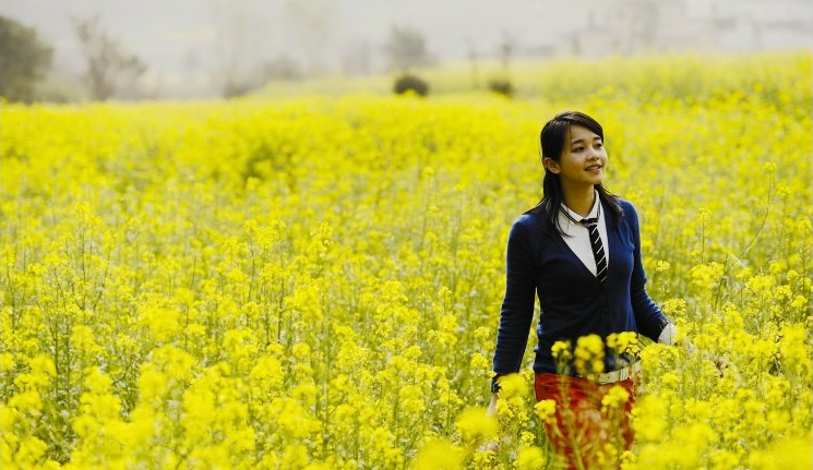 【鋼城文苑】最美油菜花海