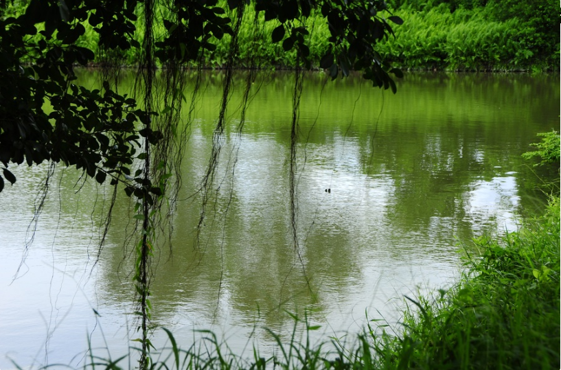 【鋼城文苑】橫塘遐思