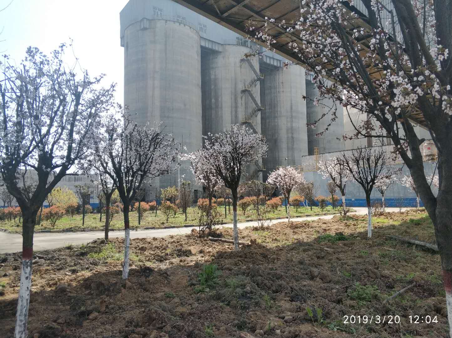 【鋼城文苑】化蝶振翅 追夢前行