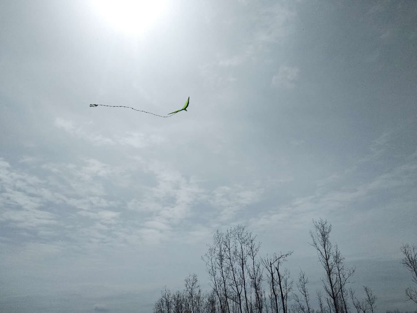 【鋼城文苑】有始有終 美在中途