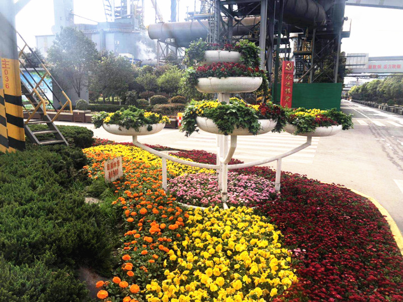 【美麗漢鋼】美翻了，一起到漢鋼來賞花！