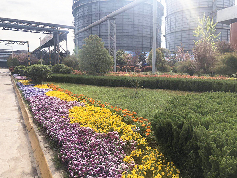 【美麗漢鋼】美翻了，一起到漢鋼踏春觀花吧！