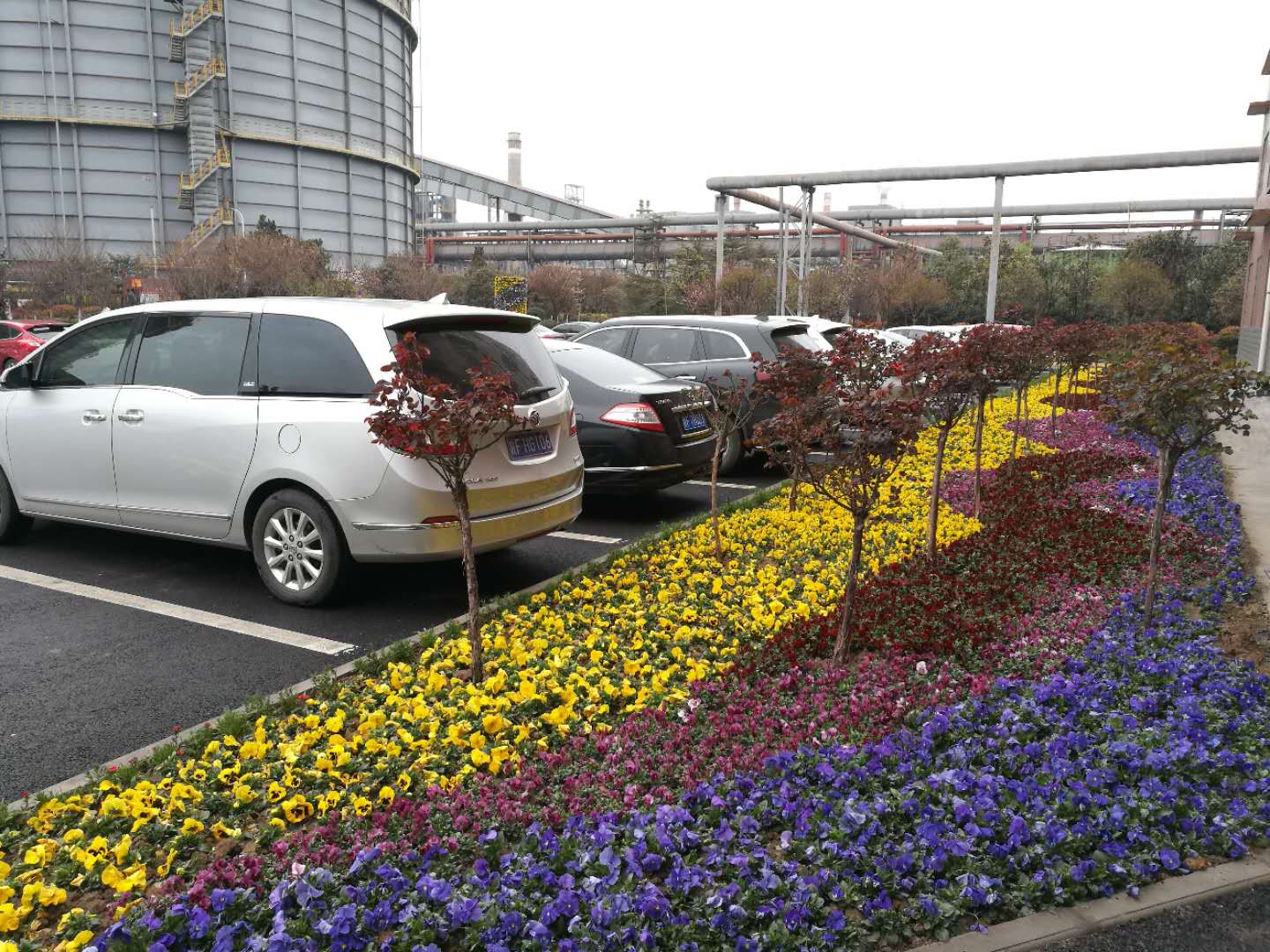 【美麗漢鋼】美翻了，一起到漢鋼來賞花！