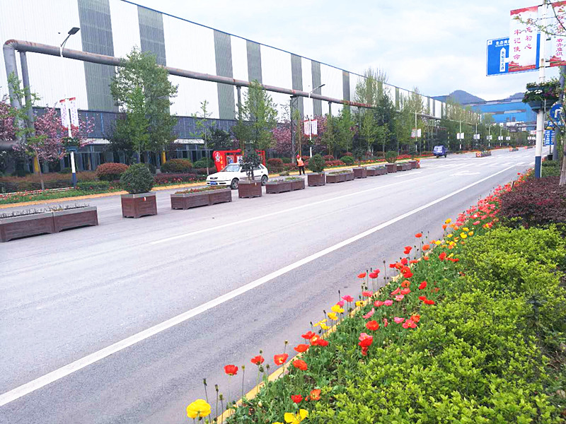 【美麗漢鋼】美翻了，一起到漢鋼來賞花！