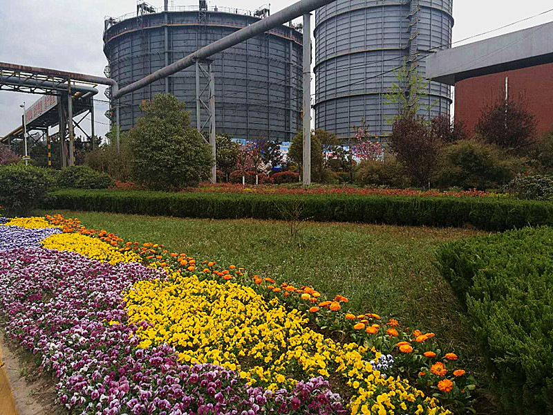 【美麗漢鋼】美翻了，一起到漢鋼來賞花！