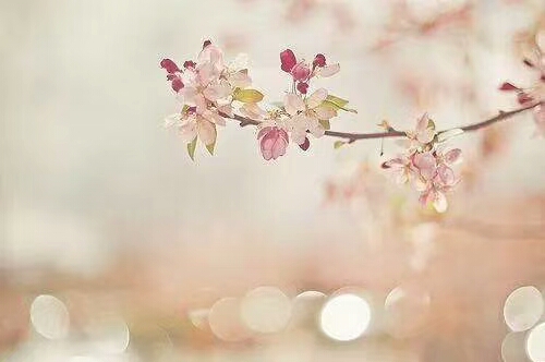 【鋼城文苑】四月如歌