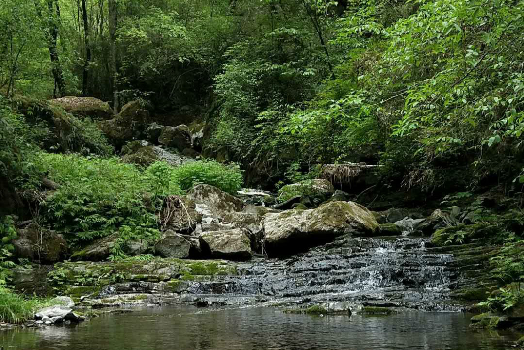 【鋼城文苑】五龍洞游記