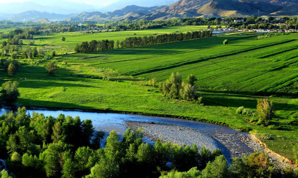 【鋼城文苑】故鄉(xiāng)的記憶