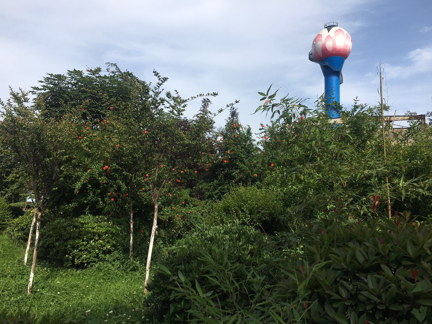 【美麗漢鋼】點滴處推動綠色發(fā)展