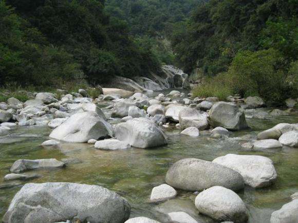 【鋼城文苑】夏  游