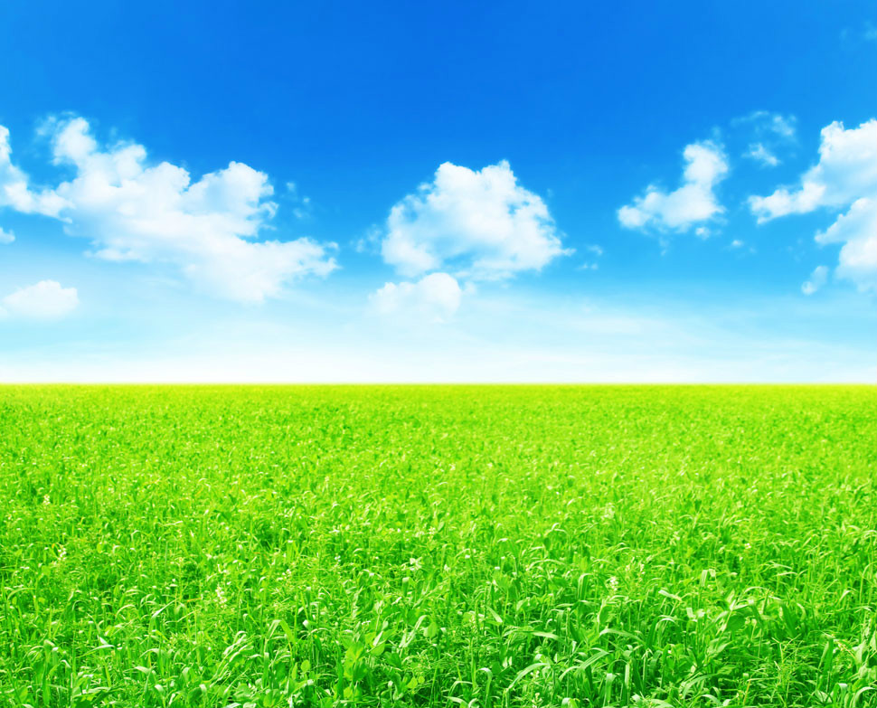 【鋼城文苑】婆婆和她的土地