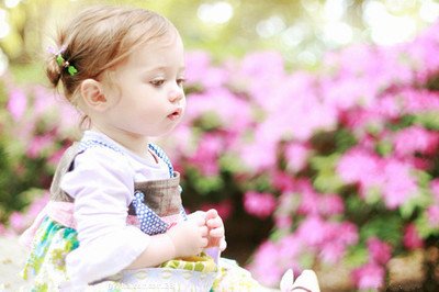 【鋼城文苑】“小鳥”的天空