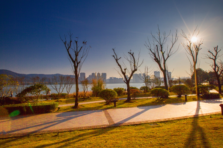 【鋼城文苑】秋日暖陽