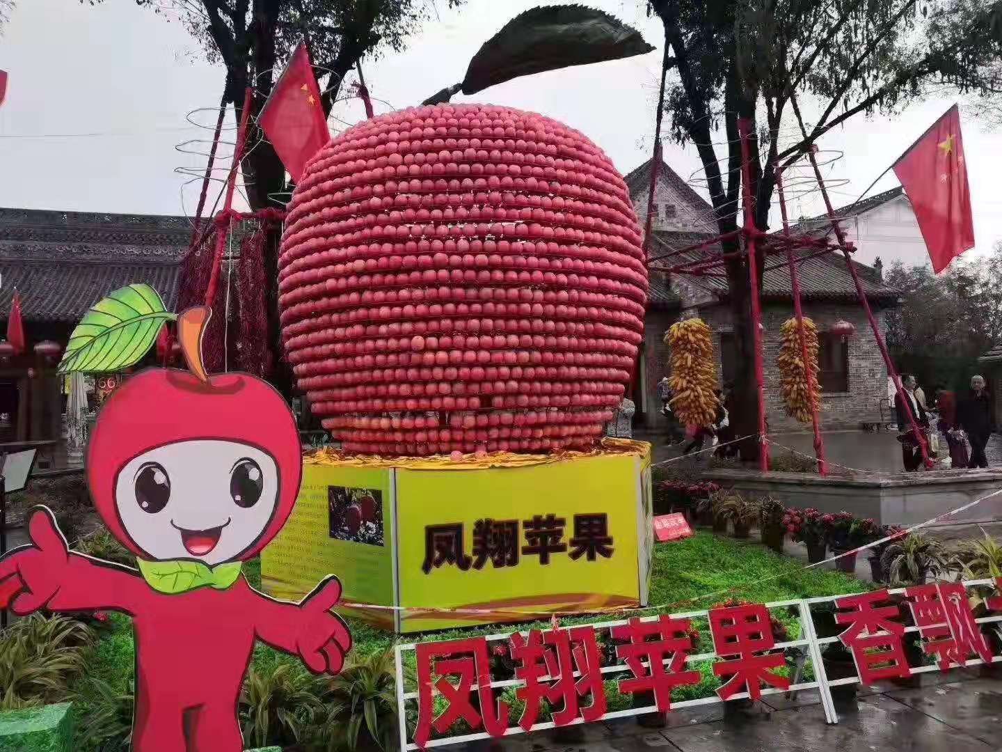 【鋼城文苑】老家的“紅富士”