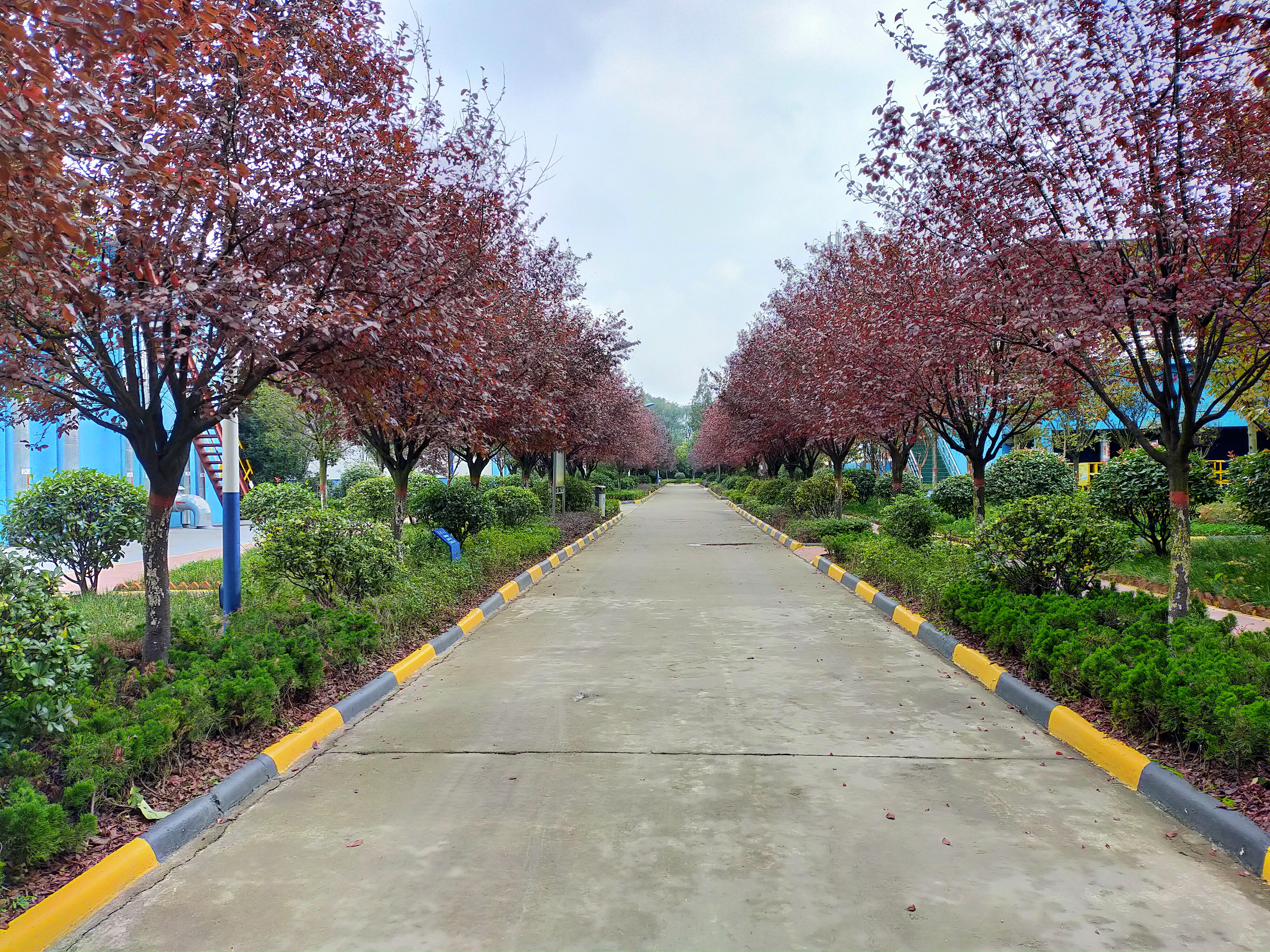 【鋼城文苑】秋韻