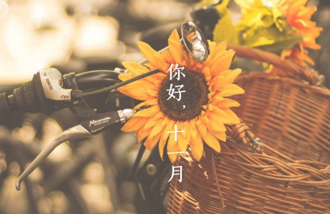 【鋼城文苑】十一月，收獲美好