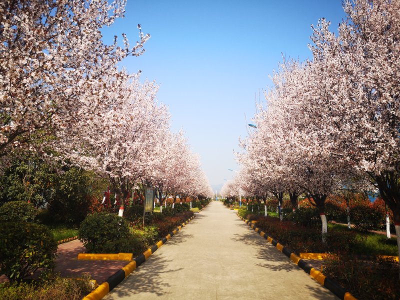 【美麗漢鋼】冬日踏青哪里去，漢鋼公司歡迎你！