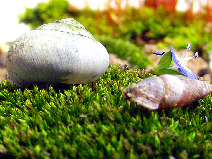 【鋼城文苑】實習(xí)紀(jì)實