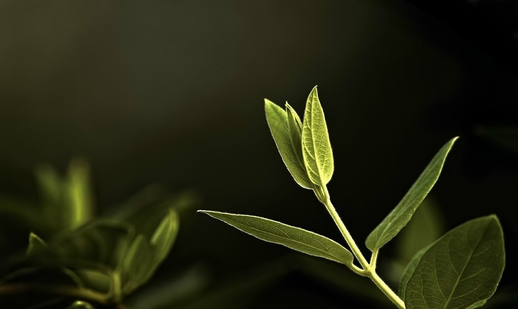 【鋼城文苑】風(fēng)雨之后，終有希望