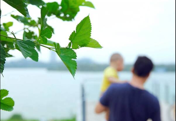 【鋼城文苑】謝謝你，2019溫暖了漢鋼