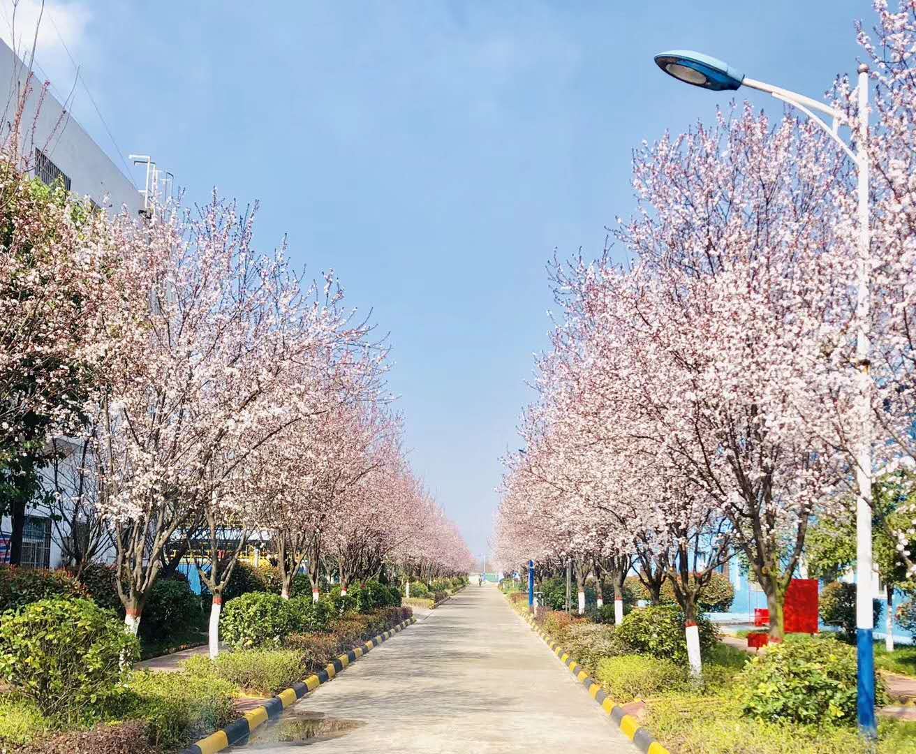 【鋼城文苑】你見過這么美的鋼廠嗎？