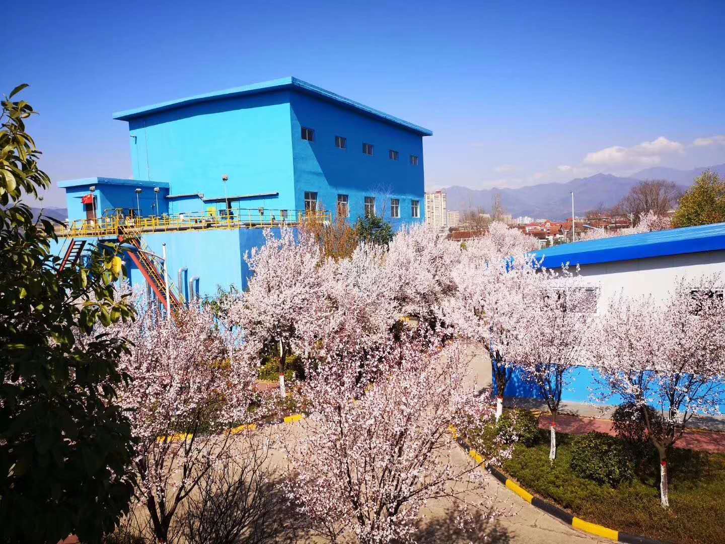 【鋼城文苑】漢鋼的春天，一期一會(huì)