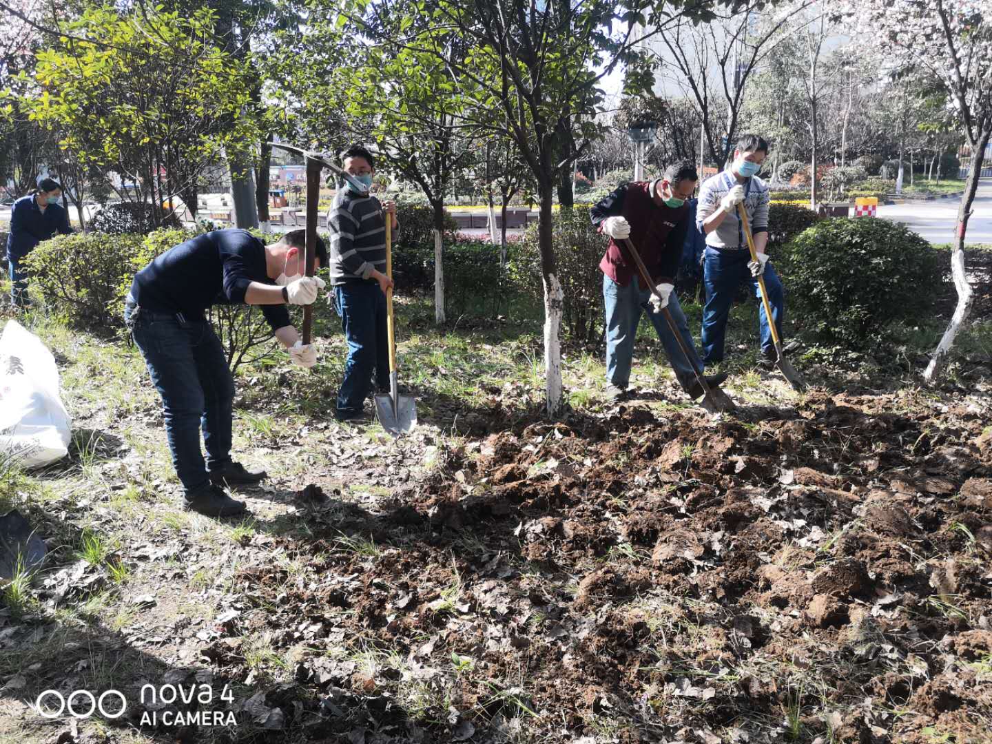 【美麗漢鋼】公司春季綠化美化工作開(kāi)展如火如荼