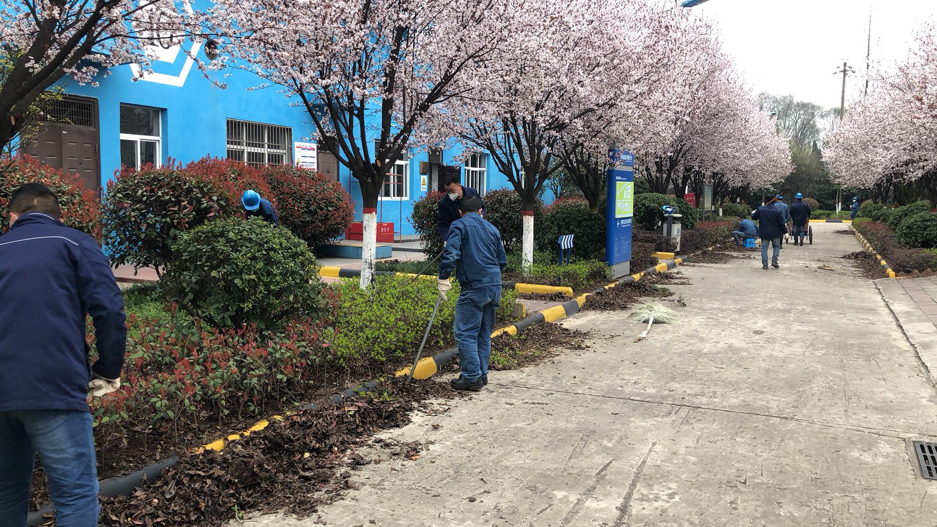 【美麗漢鋼】公司春季綠化美化工作開(kāi)展如火如荼