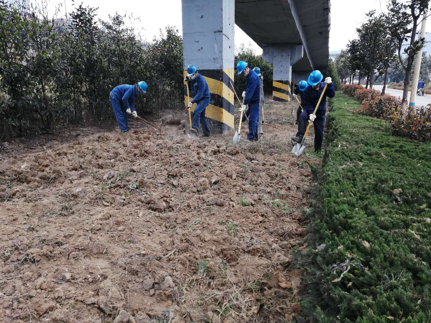 【美麗漢鋼】公司春季綠化美化工作開(kāi)展如火如荼