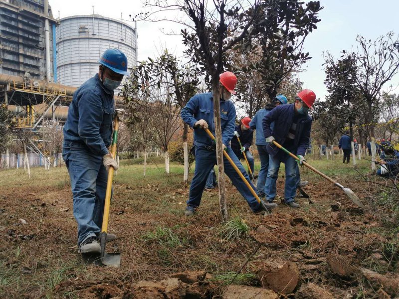【美麗漢鋼】公司春季綠化美化工作開(kāi)展如火如荼
