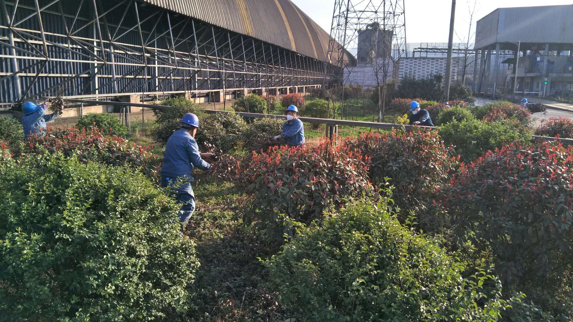 【美麗漢鋼】公司春季綠化美化工作開(kāi)展如火如荼