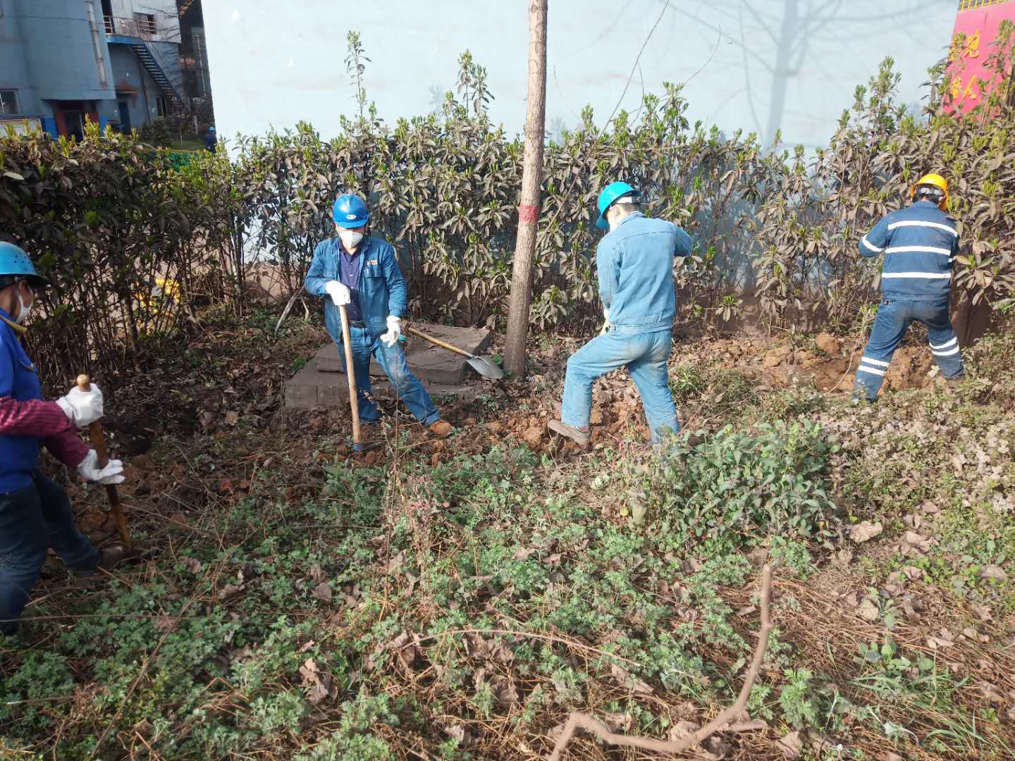 【美麗漢鋼】公司春季綠化美化工作開(kāi)展如火如荼