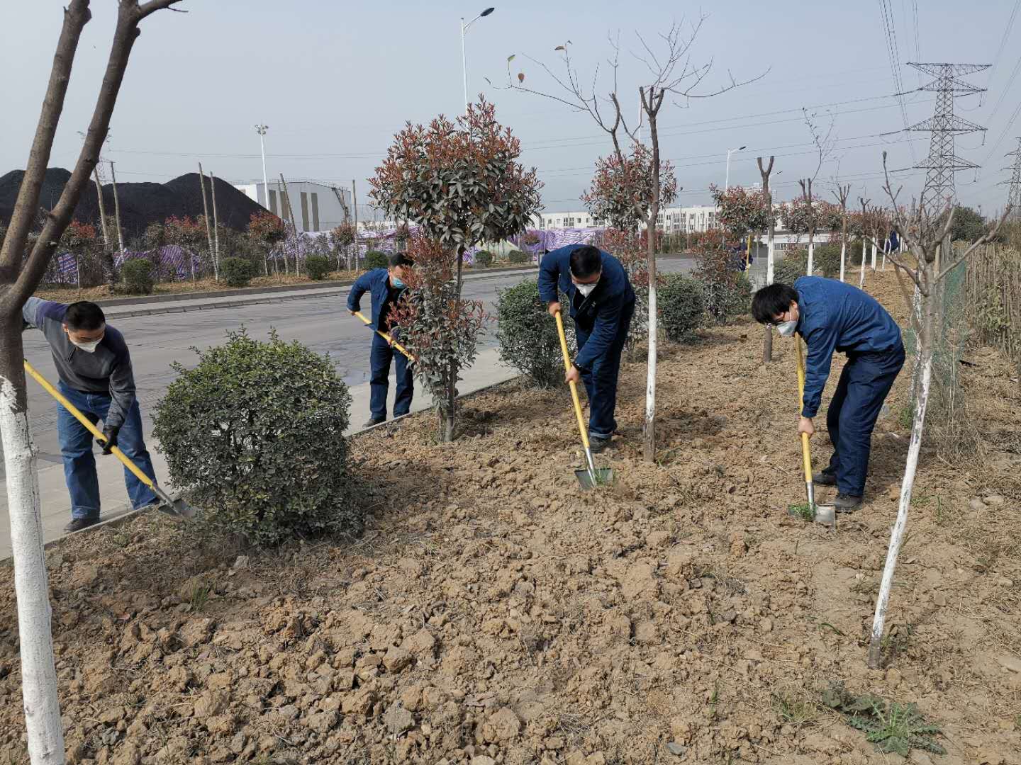 【美麗漢鋼】公司春季綠化美化工作開(kāi)展如火如荼