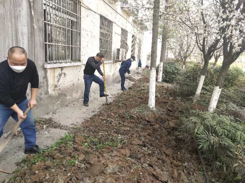 【美麗漢鋼】公司春季綠化美化工作開(kāi)展如火如荼