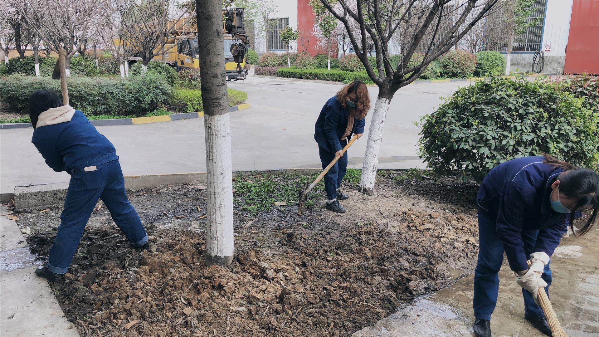【美麗漢鋼】公司春季綠化美化工作開(kāi)展如火如荼