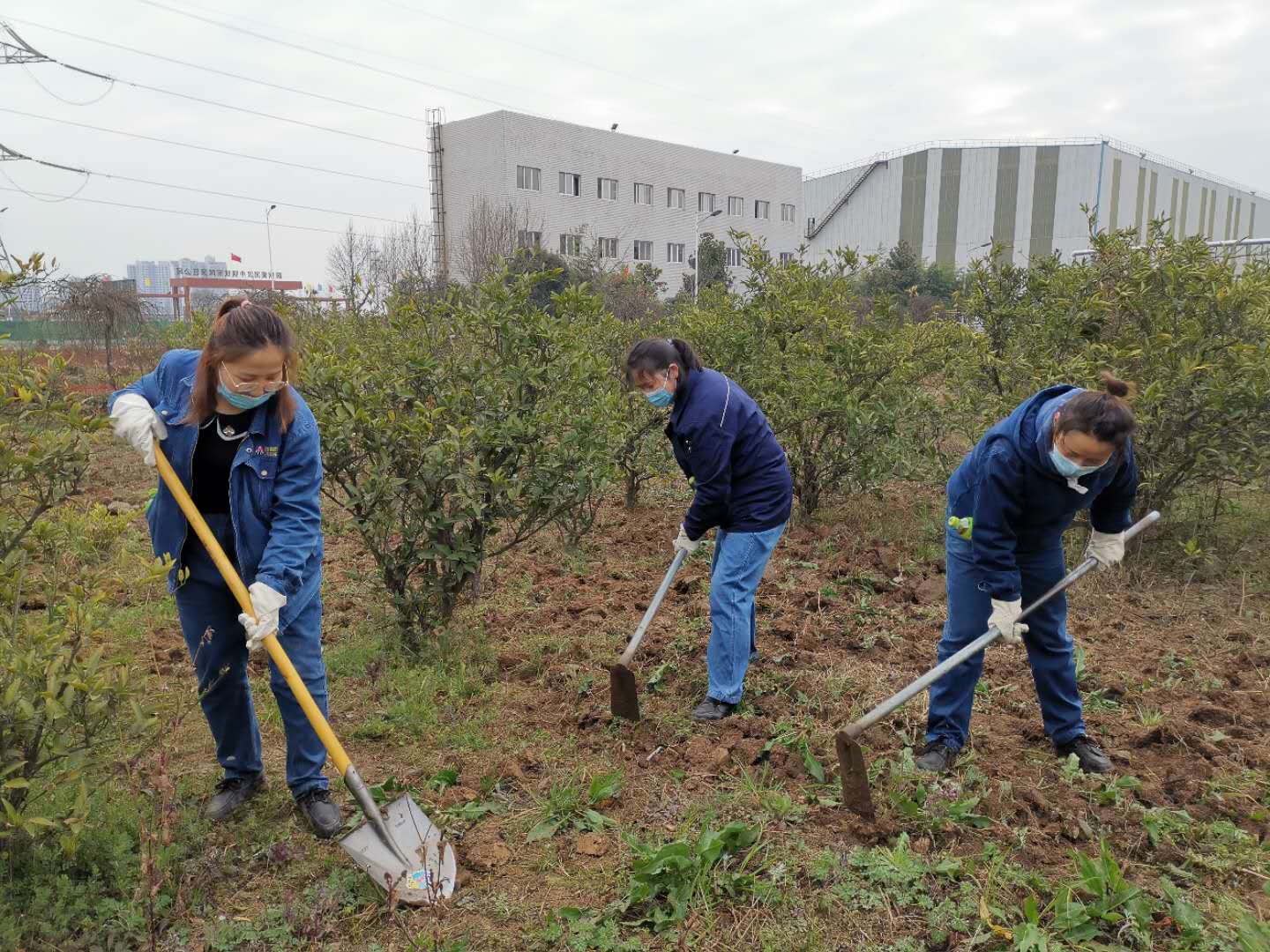 【美麗漢鋼】公司春季綠化美化工作開(kāi)展如火如荼